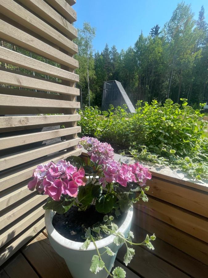Haalia Homes Turku Paeaeskynpesae Dış mekan fotoğraf